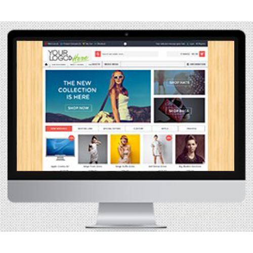 Dinamik  Paketi Eticaret Sitesi